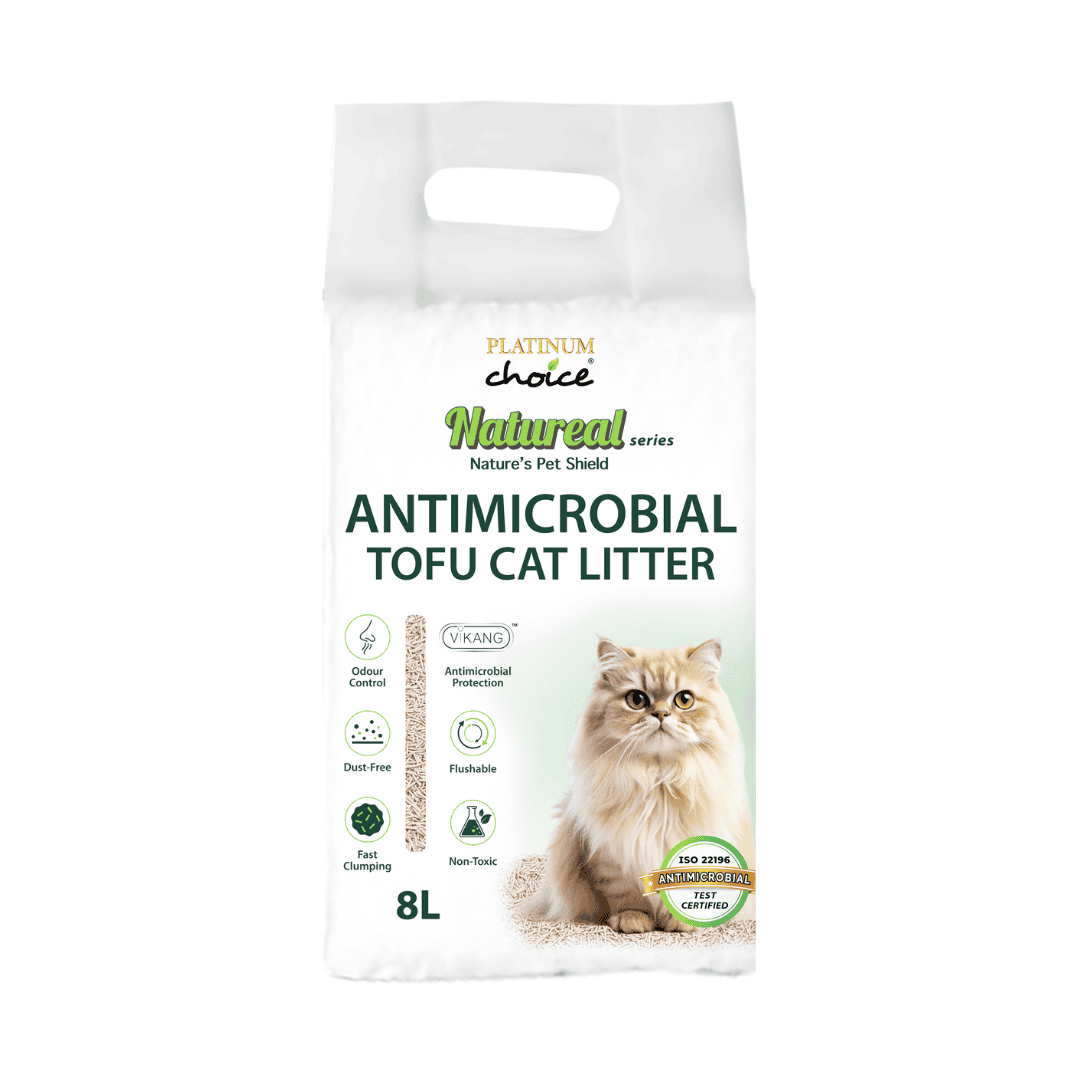 Untitled design (17)